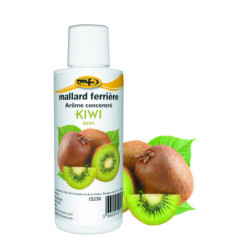 Arôme concentré kiwi - Mallard Ferrière