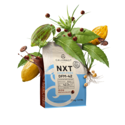 Chocolat NXT lait 42,3% 2,5kg - Callebaut